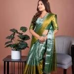 Tissue Saree  With Blouse