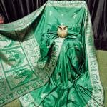 Forest Glade – Handcrafted Bishnupur Silk Saree with Golden Accents