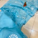 Handcrafted Pure Cotton Lucknowi Katha Work Saree – Sky Blue Elegance (No Blouse Piece)