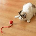 Cat Dancing Ball Pet Rolling Dog Toys for Indoor Cats Fast on Carpet, 360° Smart Automatic Ball