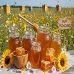 Honey ( Madhu) Agriculture products || MVB Natural Sweeteners || MVB YUGVIGYANA