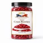 Dried Cran Berries Dried Fruits & Berries || Berries || MVB YUGVIGYANA