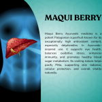 Maqui Berry Capsule - 60 Capsules (Get One Bottle 50ml Maqui Berry Drops Free)