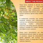 Maqui Berry Capsule - 60 Capsules (Get One Bottle 50ml Maqui Berry Drops Free)