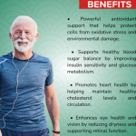 Maqui Berry Capsule - 60 Capsules (Get One Bottle 50ml Maqui Berry Drops Free)