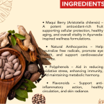 Maqui Berry Capsule - 60 Capsules (Get One Bottle 50ml Maqui Berry Drops Free)