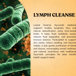 Lymph Cleanse Herbal Capsule - 60 Capsules (Get One Bottle 50ml Lymph Cleanse Herbal Drops Free)