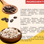 Lymph Cleanse Herbal Capsule - 60 Capsules (Get One Bottle 50ml Lymph Cleanse Herbal Drops Free)