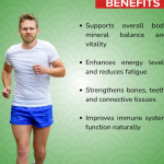 CONCENTRATED TRACE MINERAL DROPS - 50 ML (BUY ONE GET SAME 50ML DROPS FREE)