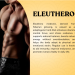 Eleuthero Capsule - 60 Capsules (Get One Bottle 50ml Eleuthero Drops Free)