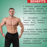 Eleuthero Capsule - 60 Capsules (Get One Bottle 50ml Eleuthero Drops Free)