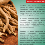 Eleuthero Capsule - 60 Capsules (Get One Bottle 50ml Eleuthero Drops Free)