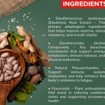 Eleuthero Capsule - 60 Capsules (Get One Bottle 50ml Eleuthero Drops Free)