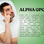 Alpha Gpc Capsule - 60 Capsules