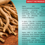 Alpha Gpc Capsule - 60 Capsules