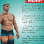 Alpha Gpc Capsule - 60 Capsules