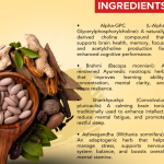 Alpha Gpc Capsule - 60 Capsules