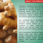 GANODERMA CAPSULES - 60 CAPSULES (BUY ONE GET SAME 50ML DROPS FREE)