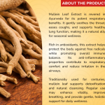 MULLEIN LEAF EXTRACT CAPSULE - 60 CAPSULE (BUY ONE GET SAME 50ML DROPS FREE)