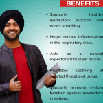 MULLEIN LEAF EXTRACT CAPSULE - 60 CAPSULE (BUY ONE GET SAME 50ML DROPS FREE)