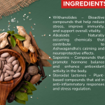 Ashwagandha Root Extract Capsule - 60 Capsules (Get One Bottle 50ml Ashwagandha Root Extract Drops Free)