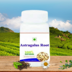 ASTRAGALUS SOFTGEL - 60 SOFTGELS (BUY ONE GET SAME 50ML DROPS FREE)