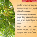 ASTRAGALUS SOFTGEL - 60 SOFTGELS (BUY ONE GET SAME 50ML DROPS FREE)