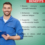 ASTRAGALUS SOFTGEL - 60 SOFTGELS (BUY ONE GET SAME 50ML DROPS FREE)