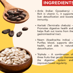 TOXI FLUSH DROPS - 50ML (BUY ONE GET SAME 50ML DROPS FREE)