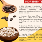 Uric Acid Capsule - 60 Capsules(Get One Bottle 50ml Uric Acid Drops Free)