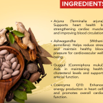 ADISHAKTI TRADING CARDIO ACTIVE CAPSULE - 60 CAPSULES (BUY ONE GET SAME 50ML DROPS FREE)