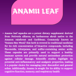 Anamu Leaf Capsule - 60 Capsules (Get One Bottle 50ml Anamu Leaf Drops Free)