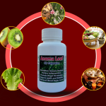 Anamu Leaf Capsule - 60 Capsules (Get One Bottle 50ml Anamu Leaf Drops Free)