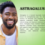 Astragalus Capsule - 60 Capsules (Get One Bottle 50ml Astragalus Drops Free)