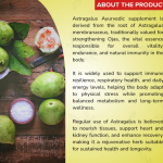 Astragalus Capsule - 60 Capsules (Get One Bottle 50ml Astragalus Drops Free)