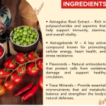 Astragalus Capsule - 60 Capsules (Get One Bottle 50ml Astragalus Drops Free)