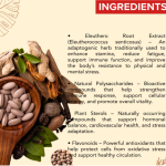 ADISHAKTI TRADING Eleuthero Capsule - 60 Capsules (Get One Bottle 50ml Eleuthero Drops Free)