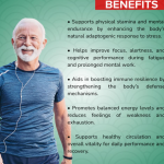 ADISHAKTI TRADING Eleuthero Capsule - 60 Capsules (Get One Bottle 50ml Eleuthero Drops Free)