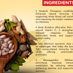 IMMUNORICH DROPS - 50 ML (BUY ONE GET SAME 50ML DROPS FREE)