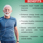 COQ WITH Q-TROL CAPSULES - 60 CAPSULES (BUY ONE GET SAME 50ML DROPS FREE)