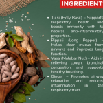 Respiratory Defense Capsule - 60 Capsules (Get One Bottle 50ml Respiratory Defense Drops Free)