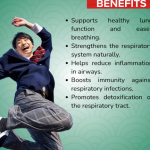 Respiratory Defense Capsule - 60 Capsules (Get One Bottle 50ml Respiratory Defense Drops Free)