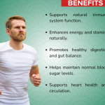 Moringa Oleifera Capsule - 60 Capsules (Get One Bottle 50ml Moringa Oleifera Drops Free)