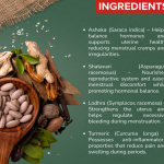 Menstrual Care Capsule - 60 Capsules (Get One Bottle 50ml Menstrual Care Drops Free)