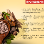 BLOOD TONIC DROPS - 50 ML (BUY ONE GET SAME 50ML DROPS FREE)