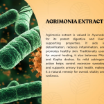 AGRIMONIA EXTRACT DROPS - 50ML (BUY ONE GET SAME 50ML DROPS FREE)