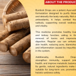 BURDOCK DROPS - 50ML (BUY ONE GET SAME 50ML DROPS FREE)