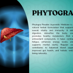 PHYTOGRA CAPSULES - 60 CAPSULES (BUY ONE GET SAME 50ML DROPS FREE)