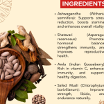 PHYTOGRA CAPSULES - 60 CAPSULES (BUY ONE GET SAME 50ML DROPS FREE)