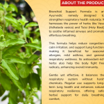 BRONCHIAL SUPPORT FORMULA CAPSULES - 60 CAPSULES (BUY ONE GET SAME 50ML DROPS FREE)